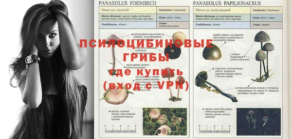 MESCALINE Медногорск