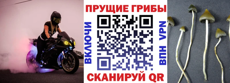 Галлюциногенные грибы ЛСД  гидра tor  Нерехта 